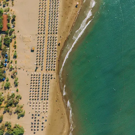 Marvelous * サルゲルメ