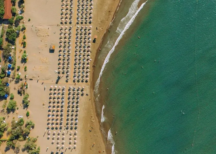 Marvelous * Sarigerme